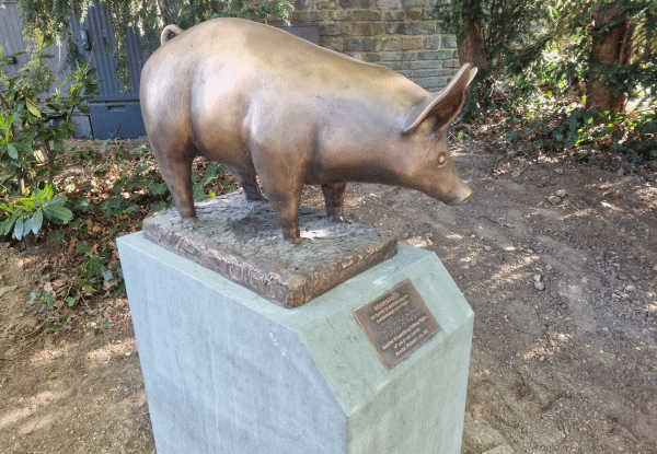 boerdeschwein1.png boerdeschwein1.png